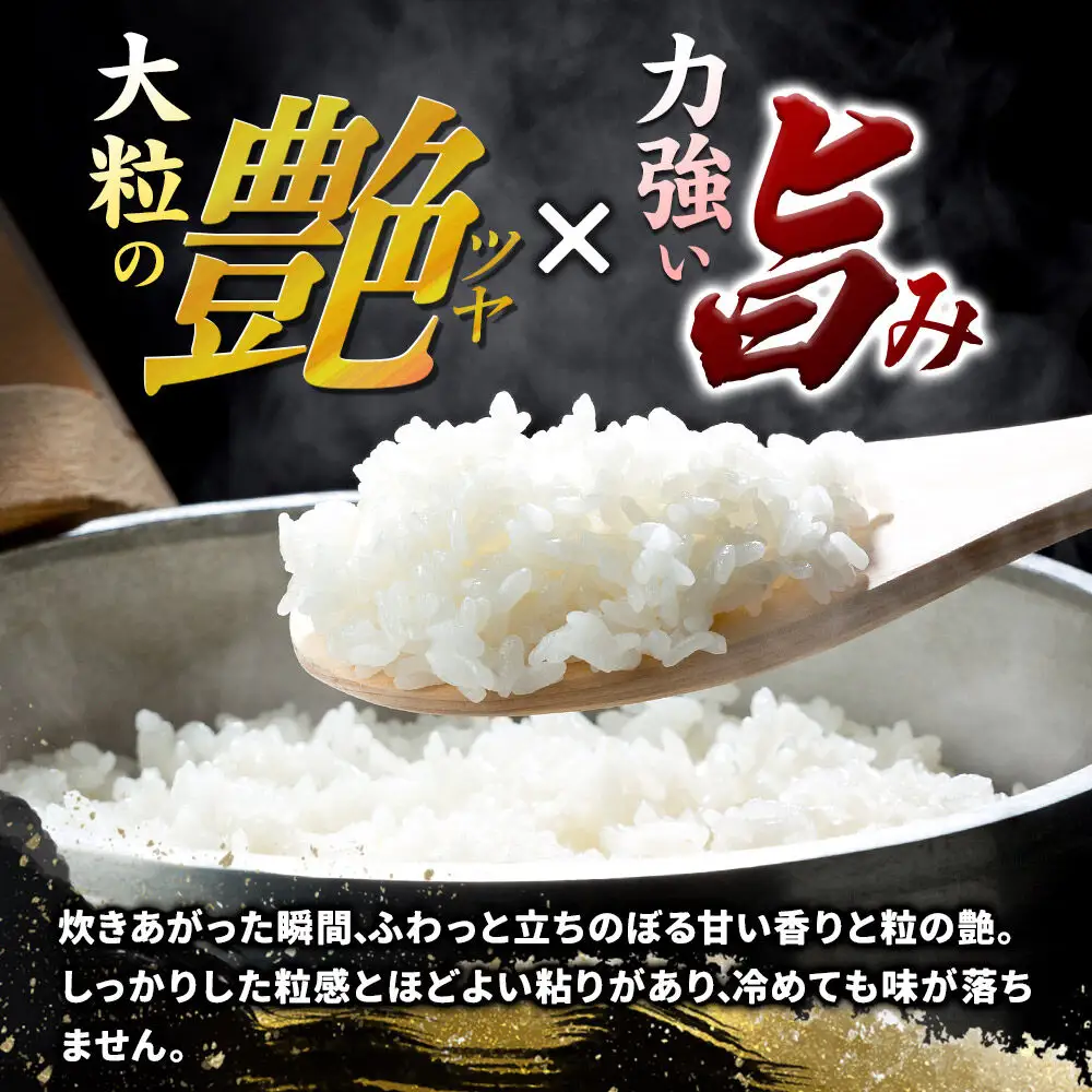 ＜令和8年産 新米＞【白米】群馬県 板倉町産 にじのきらめき 10kg（5kg×2袋）