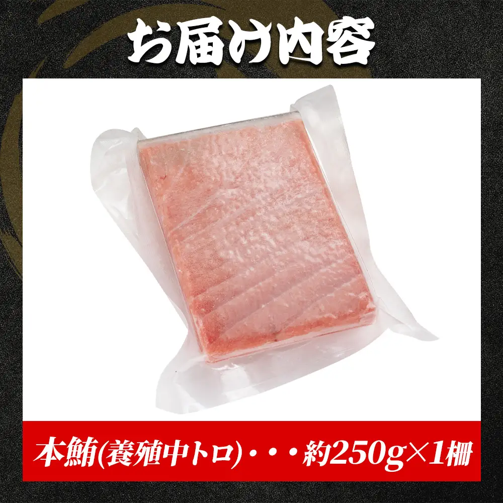本まぐろ 中トロ 約250ｇ 1冊 まぐろ oo-0026