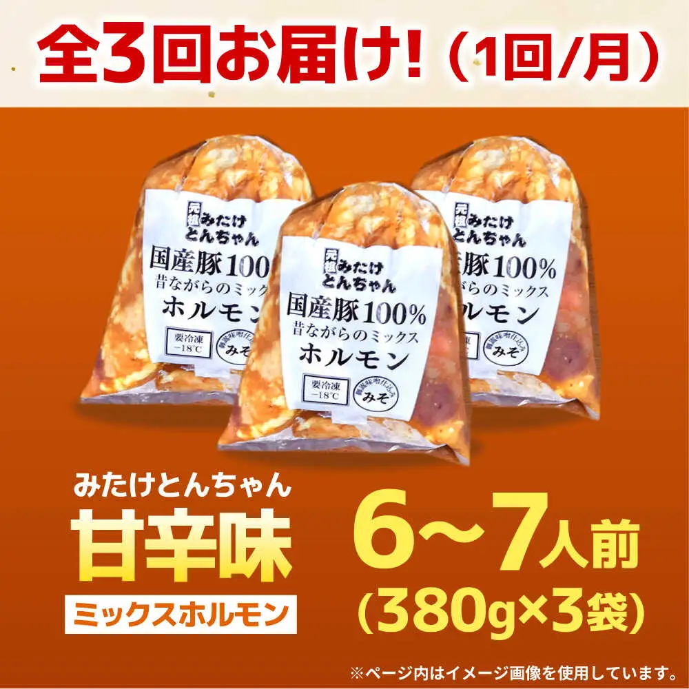 【3回定期便】 「元祖みたけとんちゃん」 昔ながらのミックスホルモン 3袋（6人前） / モツ もつ レバー ホルモン / 御嵩町 / 藤よし[AVAA085]