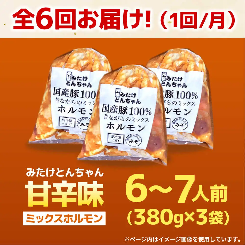 【6回定期便】昔ながらのミックスホルモン 3袋（6人前） / モツ もつ レバー ホルモン / 御嵩町 / 藤よし[AVAA086]