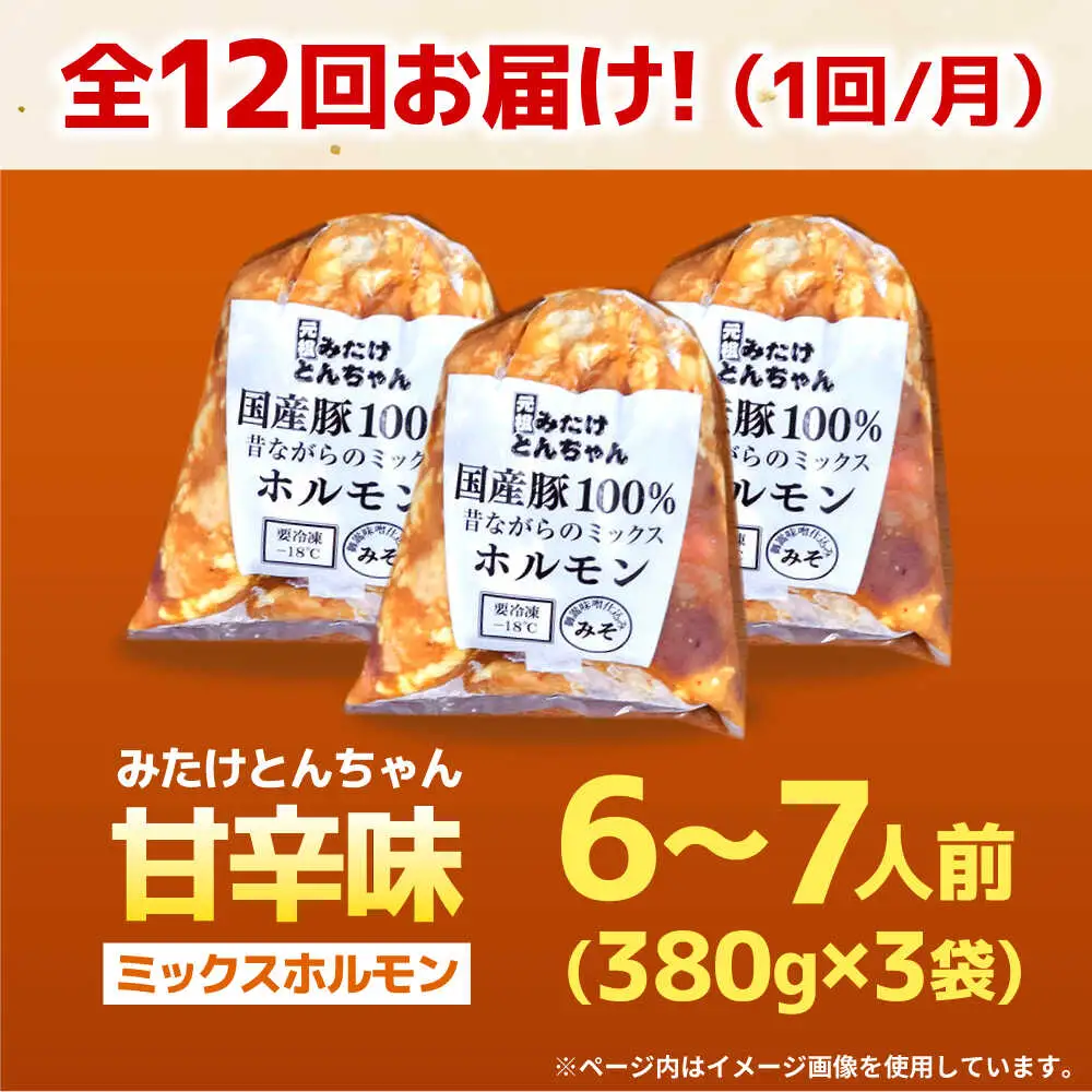 【12回定期便】昔ながらのミックスホルモン 3袋（6人前） / モツ もつ レバー ホルモン / 御嵩町 / 藤よし[AVAA087]
