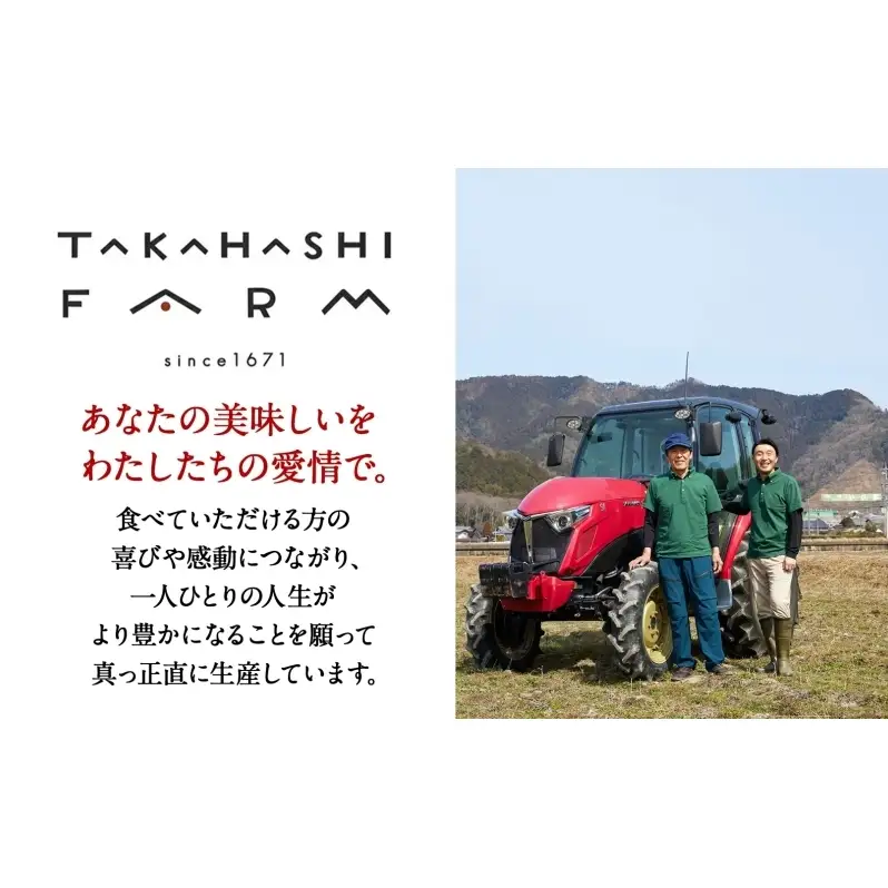 ハツシモ 高橋米 玄米 大粒 ブランド米 ハツシモ【10kg】【定期便全3回 先行予約】