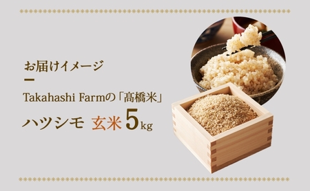 ハツシモ 高橋米 玄米 大粒 ブランド米 ハツシモ【5kg】【先行予約】