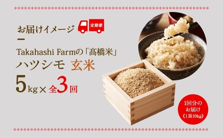 ハツシモ 高橋米 玄米 大粒 ブランド米 ハツシモ【5kg】【定期便全3回 先行予約】