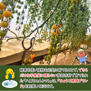 トマトジュースイエローミニトマト八百ちゃんトマトトマトジュース【1L×3本】【定期便全4回】
