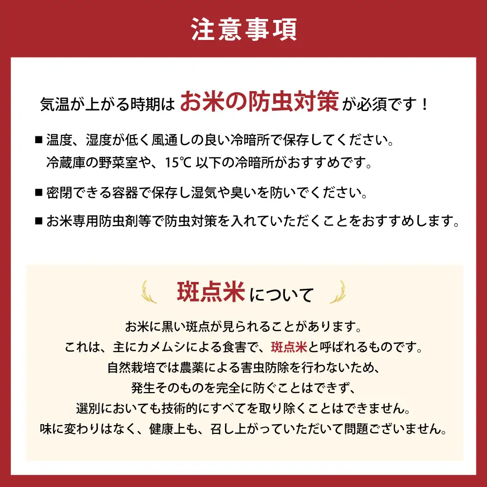 【3月発送予定】令和８年産 特別栽培米 循環型農業で作った「にじのきらめき」10kg (5kg×2)