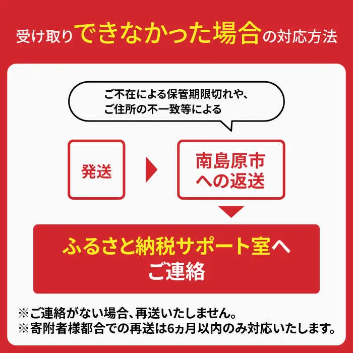 【邑居監修！麺つゆ付き】島原 手延べ そうめん 2人前 (50g×4束）めんつゆ 2袋 / 島原素麺物語 麺 乾麺 / 南島原市 / 三和サービス株式会社[SGB007]
