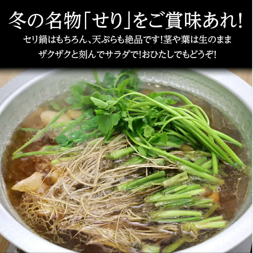 根付き仙台セリ鍋出汁セット 9～10人前 期間限定