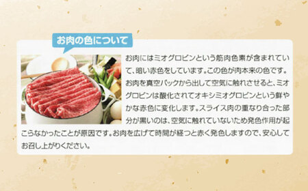 【6回定期便】長崎和牛 バラスライス 400g(200g×2パック)[OCA079]