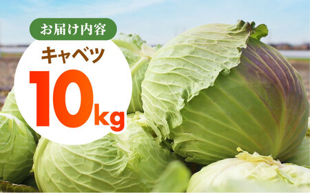 【先行予約】 キャベツ 10kg 【吉祥】[HDG001]