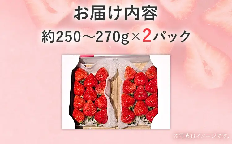あまおうDX 約250g~約270g×2パック いちご 苺 フルーツ 果物 くだもの 福岡県 福岡 九州 グルメ お取り寄せ 【2027年2月上旬～2027年4月末頃発送予定】