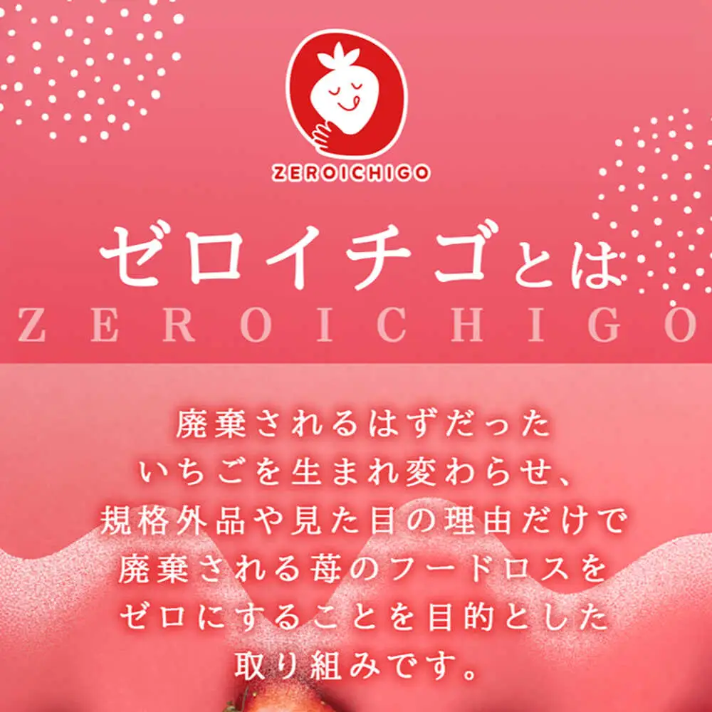 福岡県産あまおうパウダー 100ｇ いちご 粉末 製菓 糸島市 / 株式会社フルコンス[ALO002]