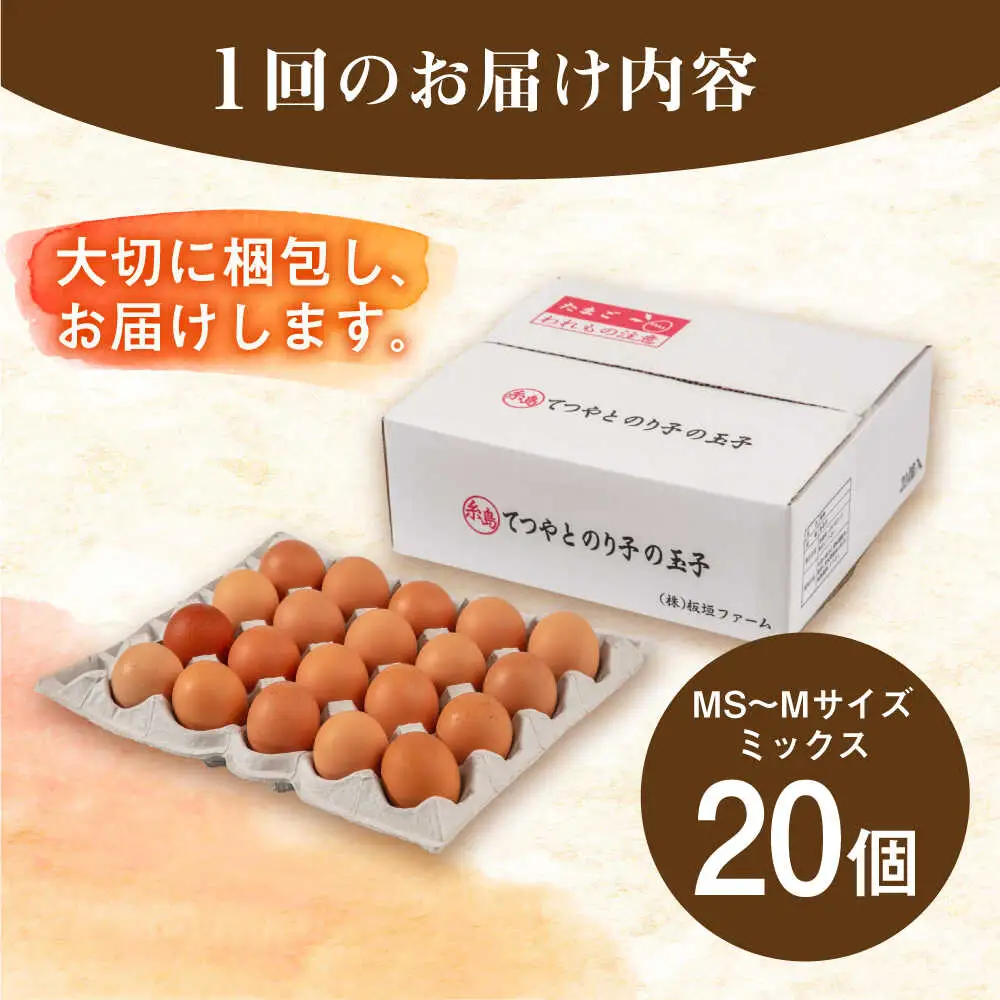 【全6回定期便】卵 20個 てつやとのりこの玉子 卵 たまご 定期便[AWD017]