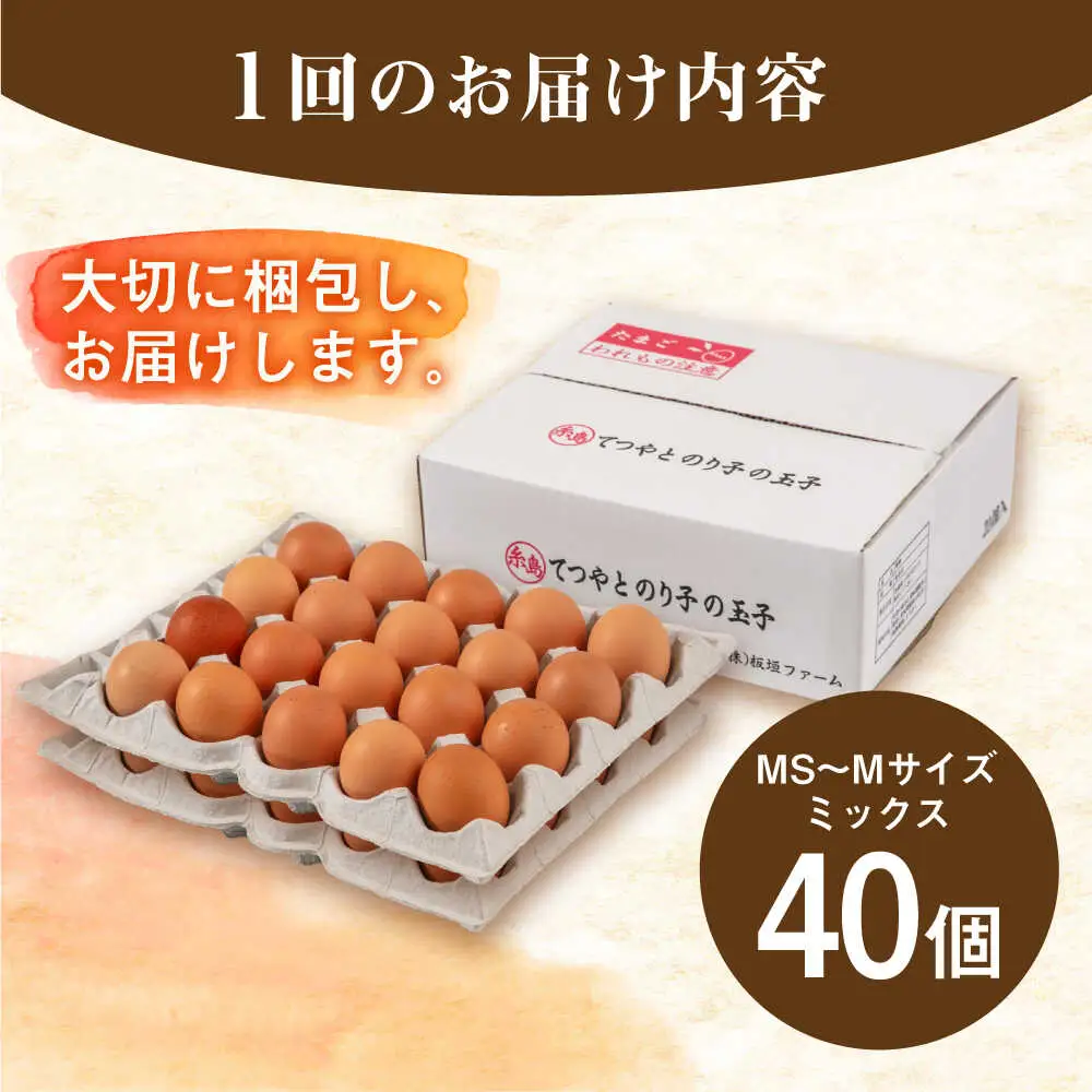 【全6回定期便】卵 40個 てつやとのりこの玉子 卵 たまご 定期便 [AWD021]