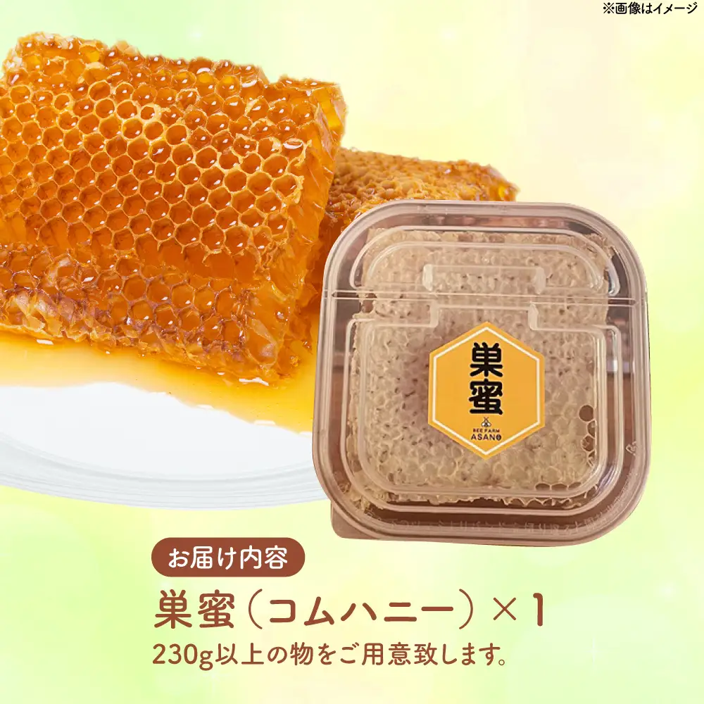 純粋ハチミツ 巣蜜（コムハニー） 瑞浪市 / honey shop Bee farm asano 蜂蜜 はちみつ[AZBT017]