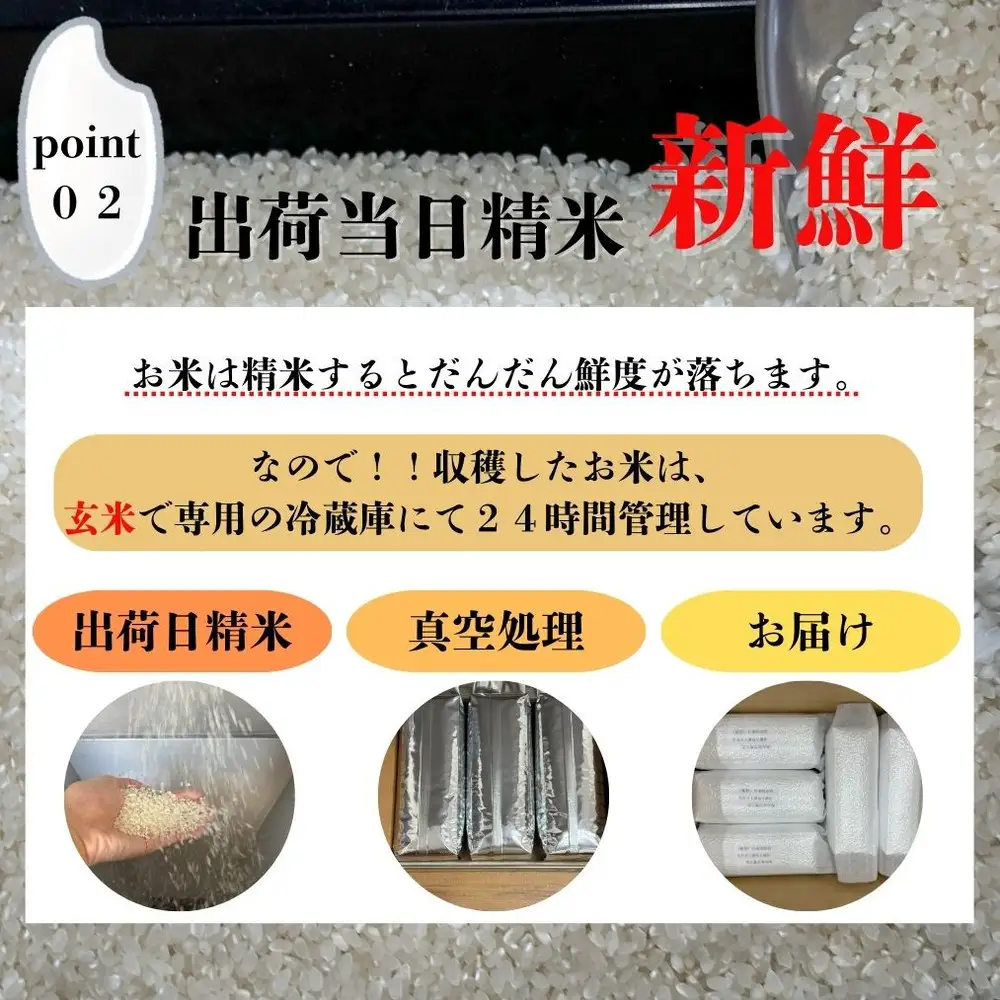 ※10月下旬より順次発送※令和7年産新米ひのひかり100%(自社保有田米) 10kg(小分け真空パック1000g×10) 福岡県 大川市