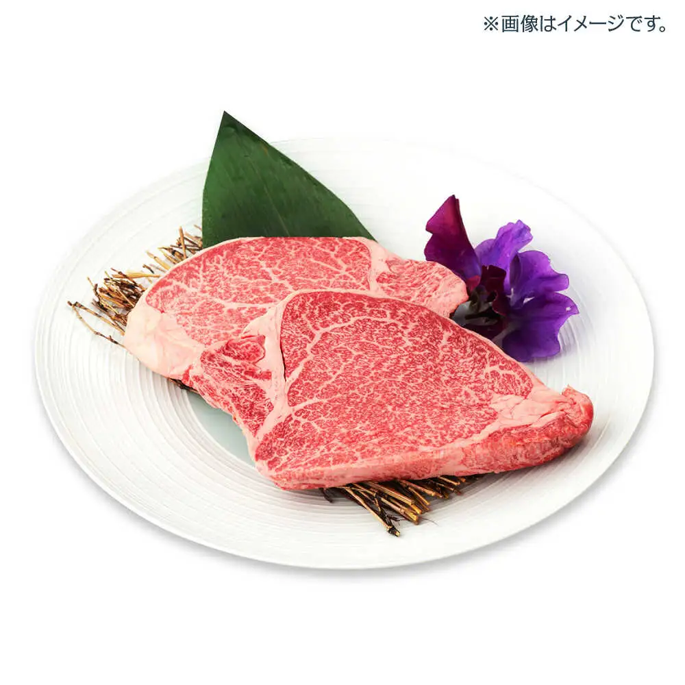 【ふるさと納税限定】波佐見焼で楽しむ 長崎和牛ヒレステーキセット【野中精肉店/一真窯】[VF99]