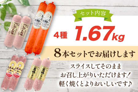 AJ276 総重量1.5kg超え！ 1.67kg ソーセージ 4種8本 食べ比べ セット