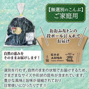 訳あり 無選別 塩蔵こんぶ 1.5kg ＼こんぶ ／