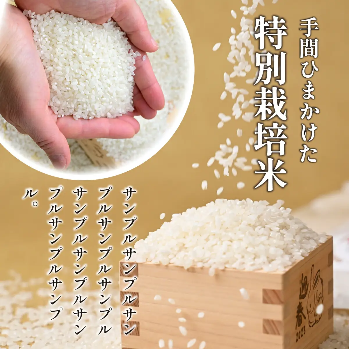 【特別栽培米】コシヒカリ　茨城県産　白米　約4.5kg【1663956】