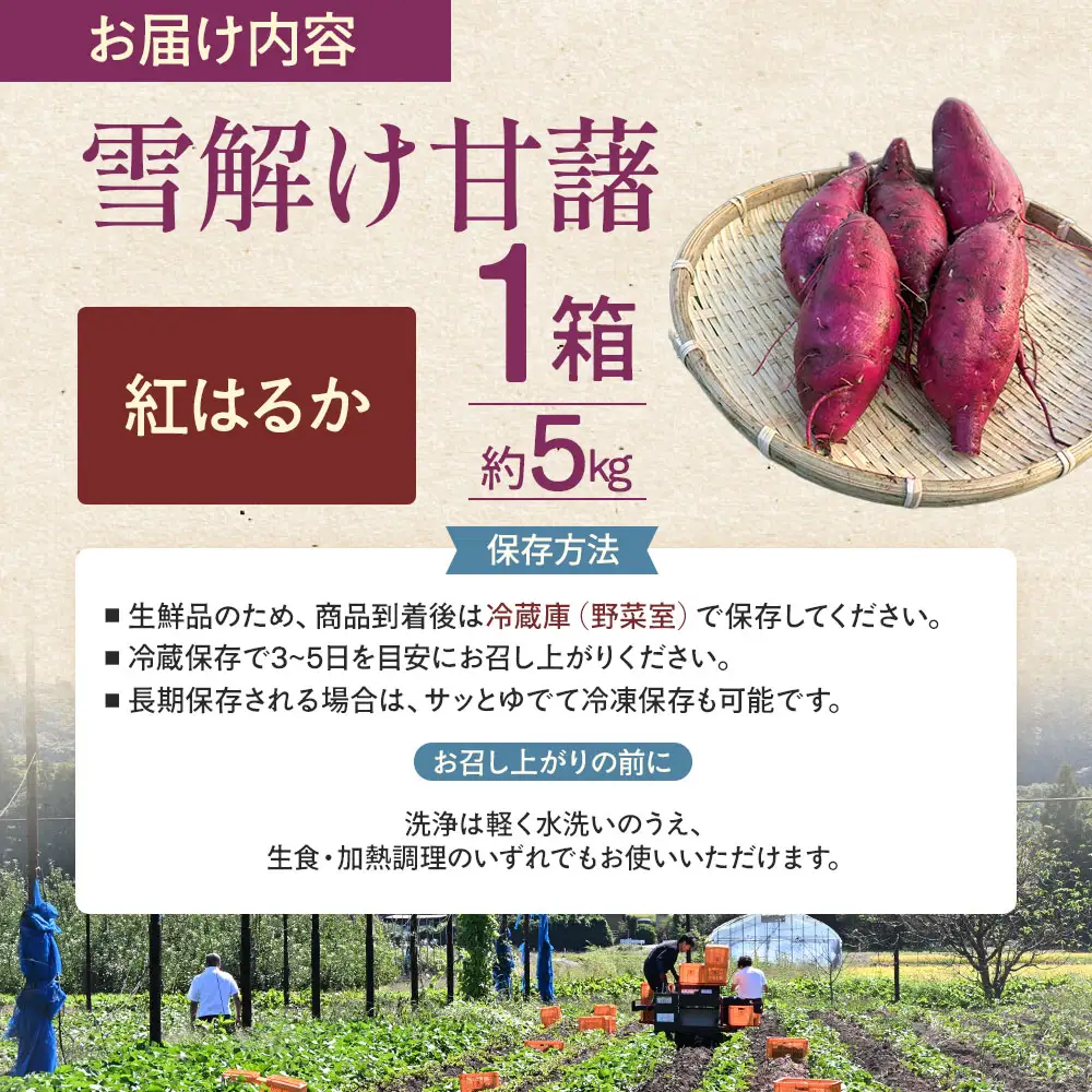 雪解け甘藷 紅はるか さつまいも スイーツ 三戸町