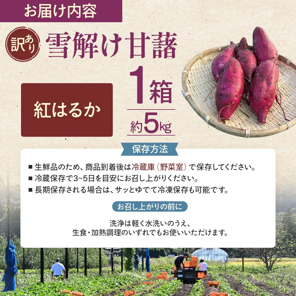 訳あり 雪解け甘藷 紅はるか さつまいも スイーツ 三戸町