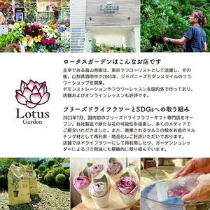 SL0273　季節を感じるフラワーアレンジ 「SAKATA いいの」