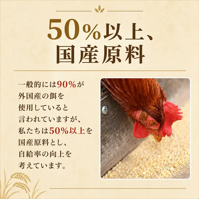 卵 わずか4%の希少な純国産鶏 いけだの森たまご 60個 こだわり おこめのたまご 玉子 鶏卵 生卵 産地直送 冷蔵配送 TKG 卵かけご飯 岐阜県産 