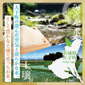 【3ヶ月定期便】【金賞農家が栽培した家庭用米】立神米「にじのきらめき」5kg×3回（白米）｜茨城県 大子町 奥久慈 大子産米 精米 米 コンテスト 受賞 生産者（BT062）