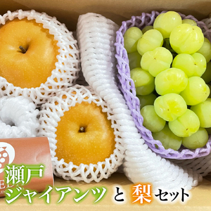	【数量限定】瀬戸ジャイアンツと梨のセット（ぶどう ブドウ 梨 果物 セット 詰め合わせ フルーツ 贈答用 限定）