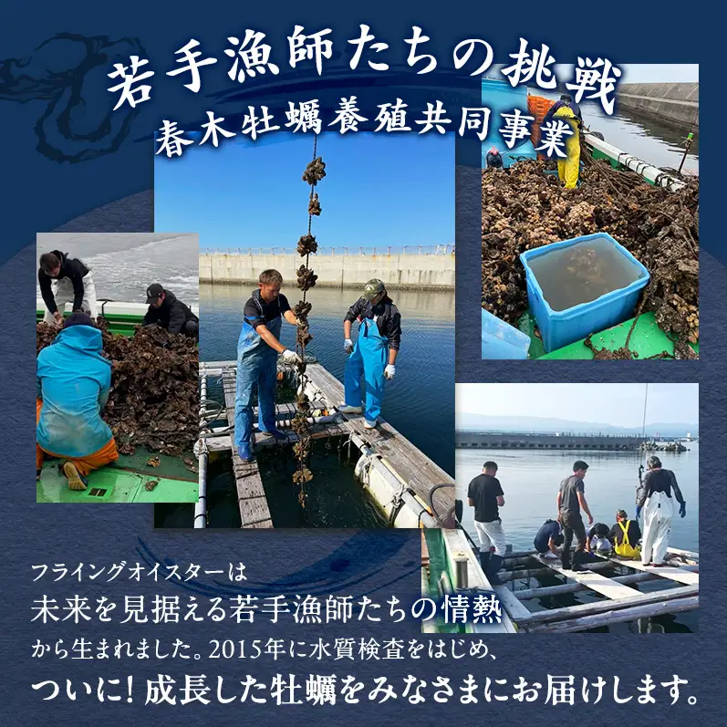 牡蠣 殻付き 5kg 加熱用 先行予約 生 牡蠣