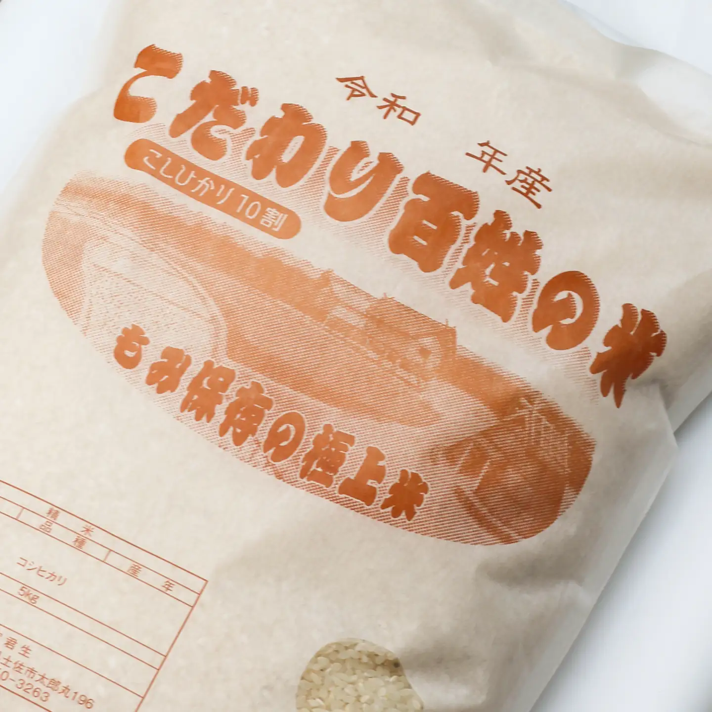コシヒカリ 令和8年産 5kg 5キロ 精米 白米 お米 ご飯 ごはん 米 こめ こしひかり 高知県産 国産 お取り寄せ 常温 高知 土佐市 ふるさと納税【三宮 君生】 [BQCE001]