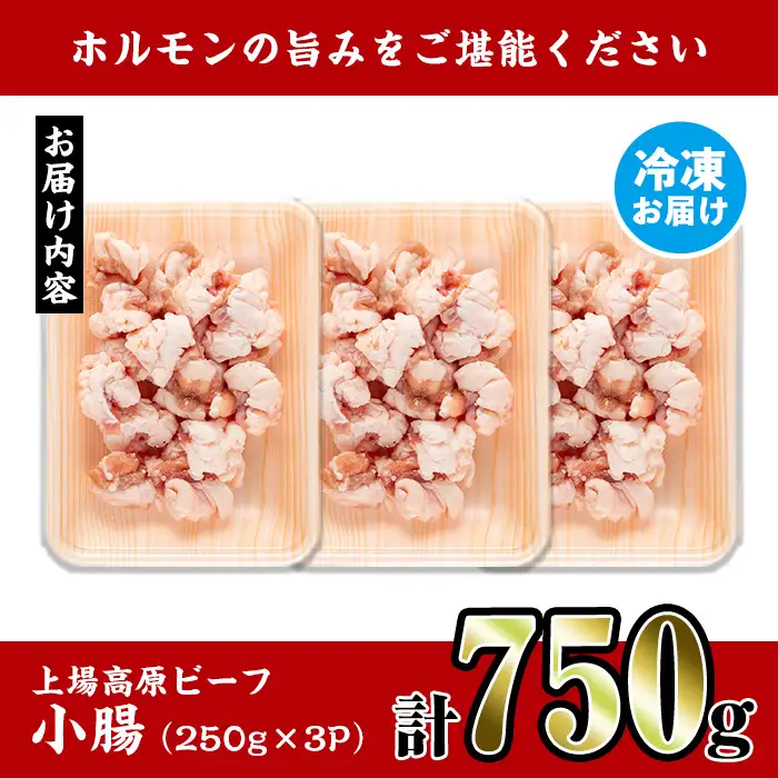 上場高原ビーフ 小腸 ホルモン 750g 【スーパーよしだ】 i1156