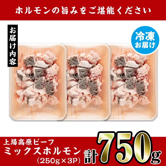 上場高原和牛 ミックスホルモン 750g 牛肉 ホルモン 【スーパーよしだ】 i1157