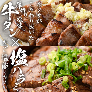 ＜定期便・全6回 (2か月ごとの発送)＞ 特選 牛タン ・ 牛ハラミ セット (総量4.8kg) 定期便 小分け 牛肉 肉 タン 牛たん ハラミ 牛はらみ 詰め合わせ 味付け 焼肉 塩 BBQ 冷凍 大分県 佐伯市【DH328】【ネクサ】