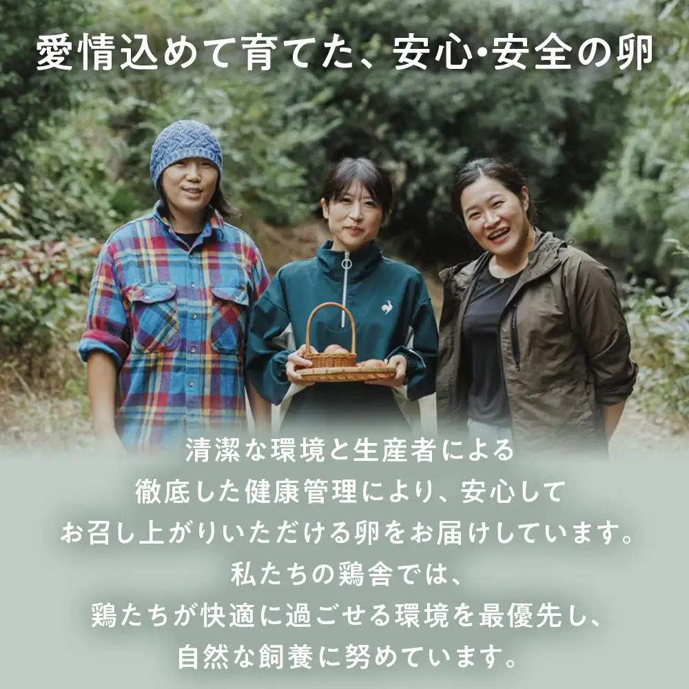 【定期便】2回定期【天王原のたまご】ロイヤル卵 30個入り