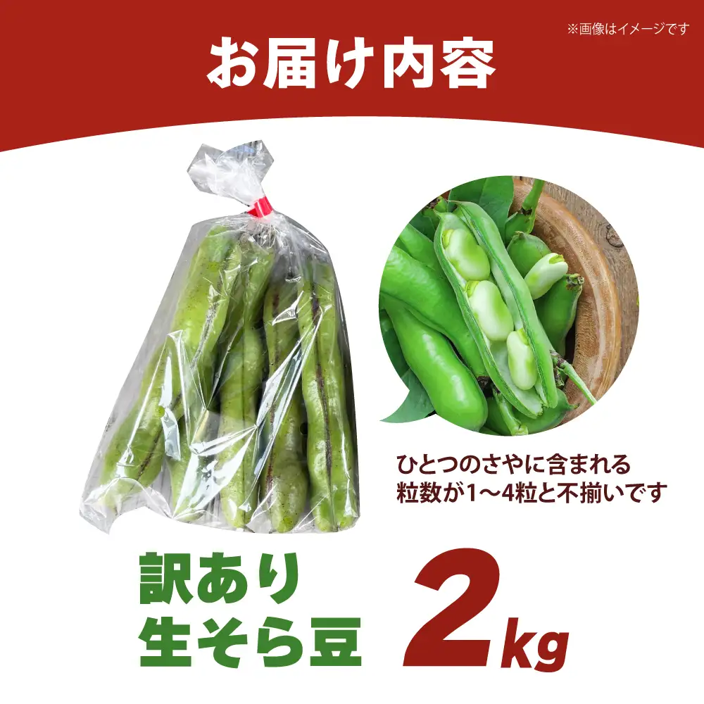 【朝採れ】 訳あり 生そら豆 2kg 【にしやまファーム】 新物 さや付き そら豆[HDI002]