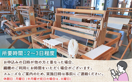 ＜西予市産シルク100％使用 ショール織体験 1名様＞ 国産生糸使用 シルクショール ワークショップ 機織り体験 機織り 手織り 絹織物 体験 シルク博物館 チケット 愛媛 西予 野村 伝統工芸 愛媛県西予市蚕糸業振興協議会 西予市【常温】NES0001