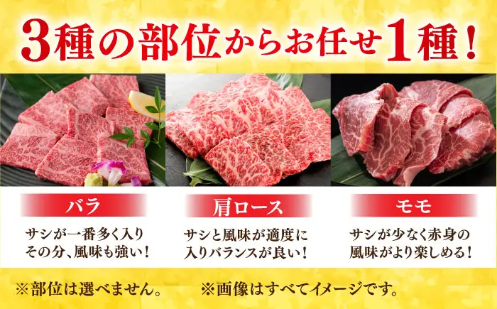 艶さし！ 佐賀牛 焼肉用（バラor肩orモモのいずれか1種） 400g 吉野ヶ里町[FDB076]