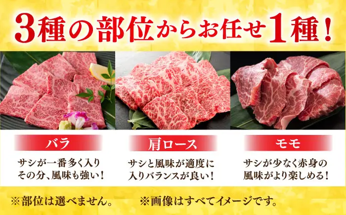 艶さし！ 佐賀牛 焼肉用（バラor肩orモモのいずれか1種）800g 吉野ヶ里町[FDB077]