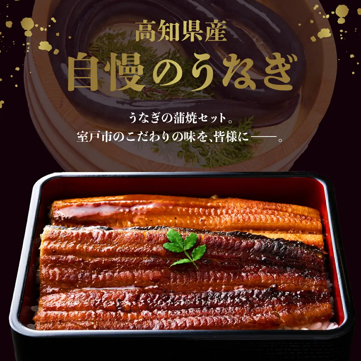 うなぎ蒲焼き 1尾 定期便 12回 うなぎ yj045