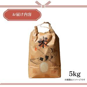 【先行予約】 【 令和8年度産 】 お米 5kg にこまる 米