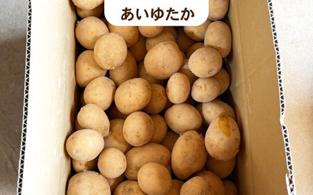 【訳あり】ジャガイモ(品種ミックス)　10kg / 諫早市 / 未来ファーム[AHEY005]