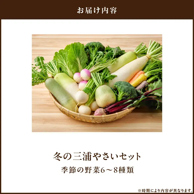 ボリューム 満点 ！ 季節の野菜 詰め合わせ（ 冬 ） M001-004-02 野菜 三浦野菜 先行予約