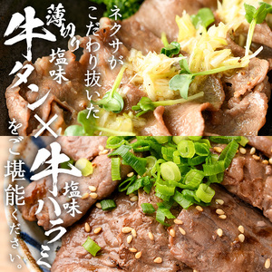 ＜定期便・全12回 (毎月の発送)＞ たっぷり！ 薄切り 塩 牛タン・牛ハラミ セット (総量14.4kg) 小分け 牛肉 肉 タン たん ハラミ はらみ 詰め合わせ 味付け 焼肉 BBQ 冷凍 大分県 佐伯市【DH332】【ネクサ】