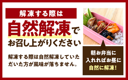 塩麹からあげ ×2パック Kitchen Boo 手作り唐揚げ  冷凍  / ジューシー やわらか お弁当 おつまみ 小浜市 / タカノ 【配送不可地域：北海道・沖縄・離島】[BFEF002]