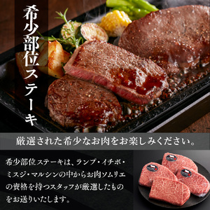 和牛【共通返礼品】やまぐち和牛燦 豪華満喫セット 1.7kg BH0501