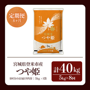 ≪令和8年産≫【8回定期便】つや姫 計40kg(5kg×8回配送) 登米市産 お米 おこめ 米 コメ 白米 ご飯 ごはん おにぎり お弁当 8か月 頒布会【登米ライスサービス株式会社】tm484