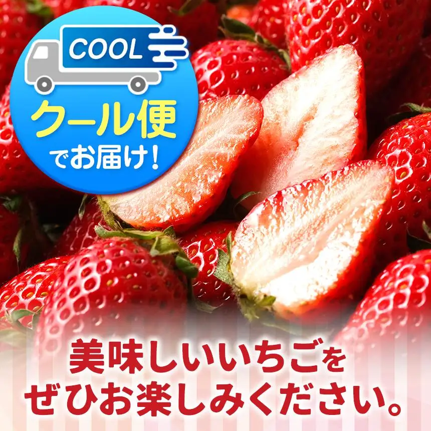 いちご 訳あり サイズランダム とちあいか1kg以上【2027年先行予約】 | 苺 イチゴ 栃木県共通返礼品 真岡市産 栃木県矢板市