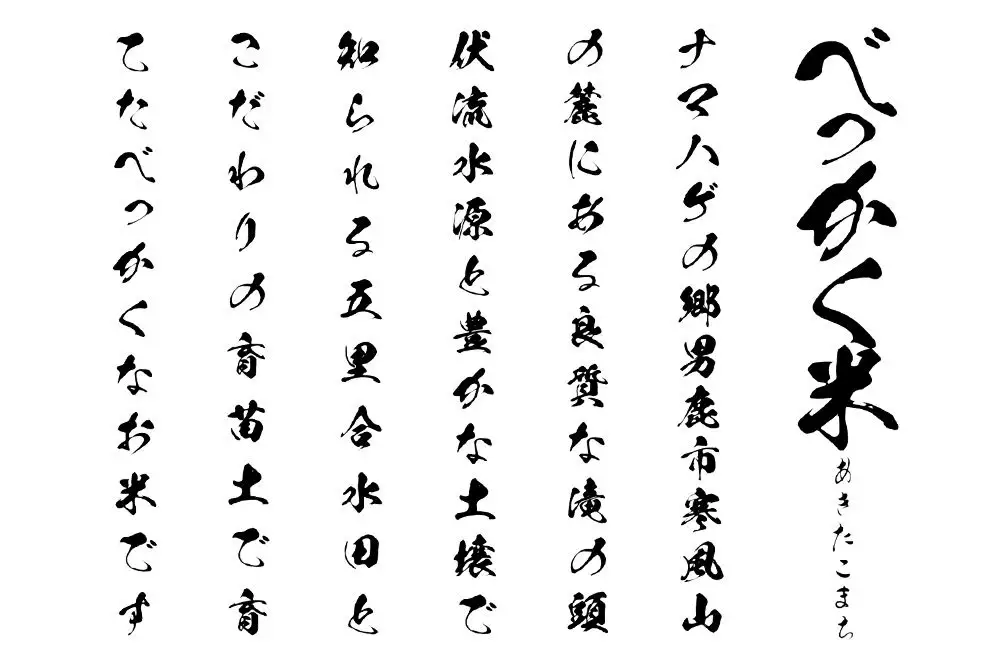 あきたこまち べっかく米 （上白米）3kgと梨 約5kgのセット 《令和8年産》 【先行受付】 秋田県 男鹿市 男鹿ファーム直売所